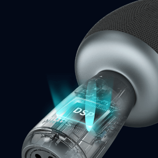 演唱會等級專業處理器